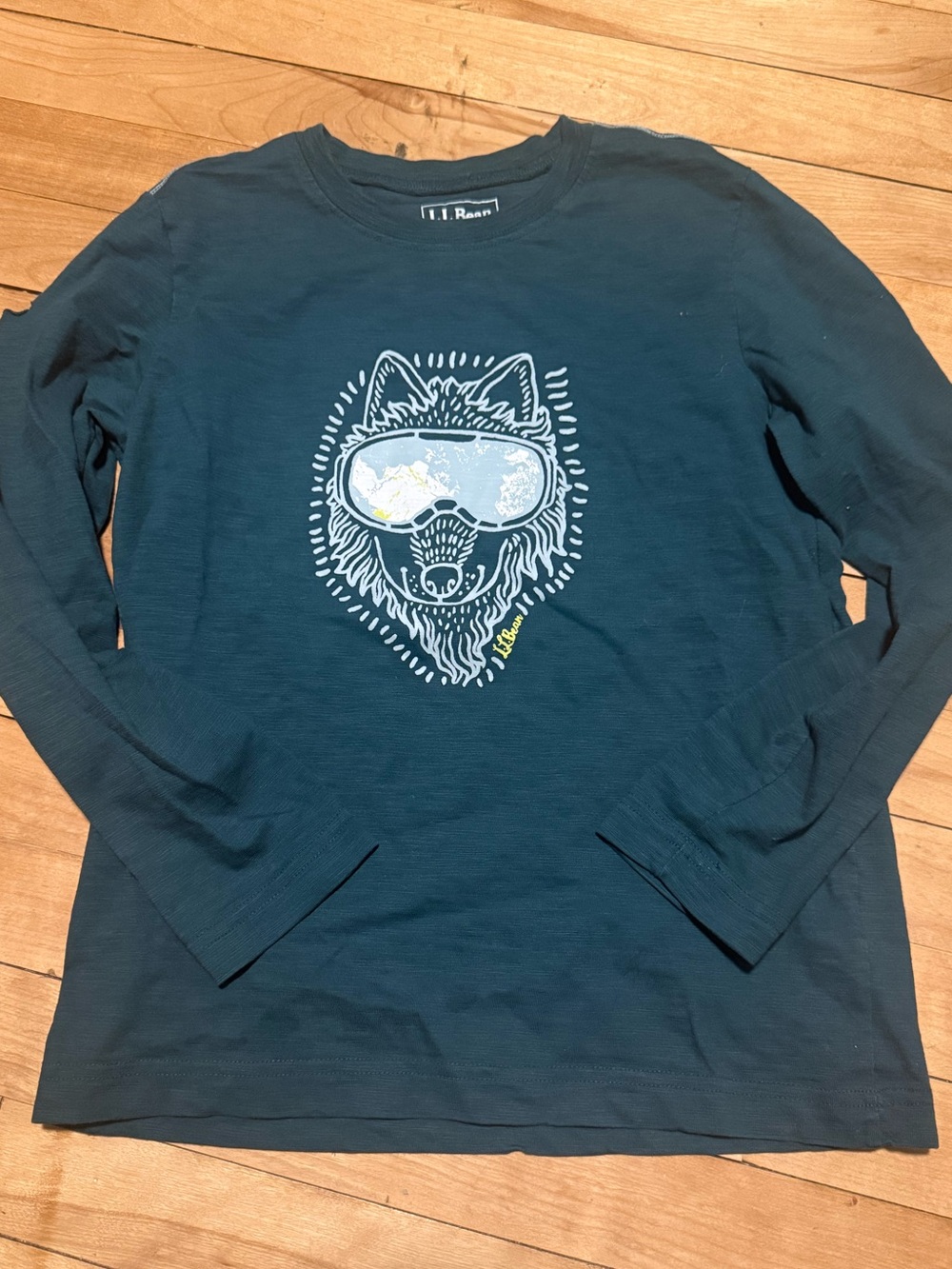L.L. Bean Teal Long-Sleeve Graphic Tee